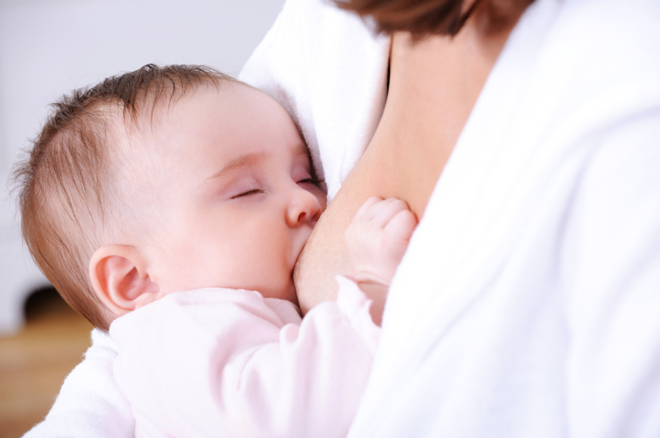 lactation